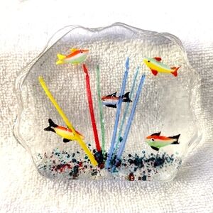 Colorful Fish Aquarium Paper Weight